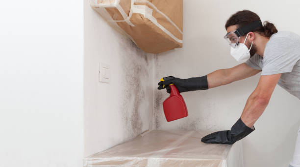 Professional Bathroom Mold Removal technician working in Owings Mills, MD
